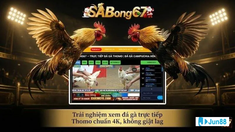 Dịch vụ chất lượng và trải nghiệm người