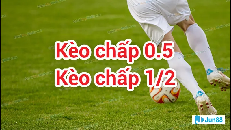 Nửa trái của kèo đặc biệt Nửa trái của kèo đặc biệt