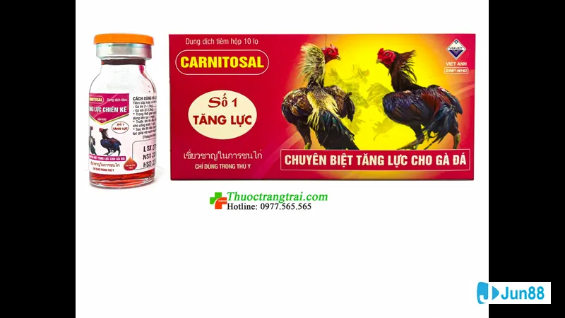 Gà phản ứng trước sự xâm nhập của